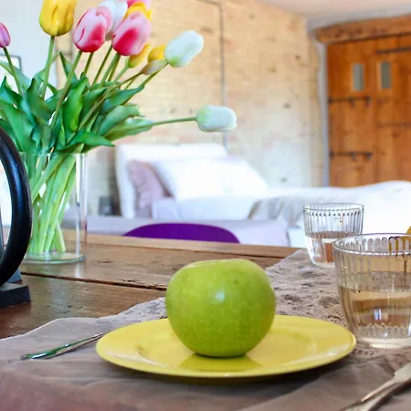 Fermento Loft Apartman